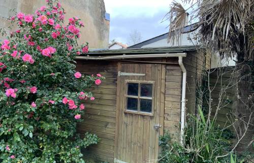 Abri de jardin 