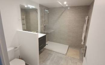 Salle de bain après rénovation - Brie-Comte-Robert 77170