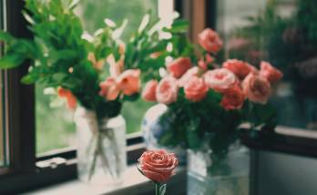 appartement lumineux