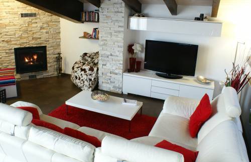 insert cheminée salon