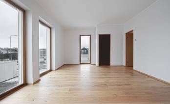 grandes fenetres bois