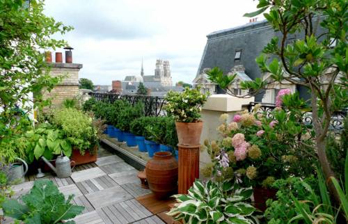 Construire une terrasse en bois à Paris 8