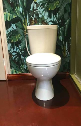 Salle de bain jungle