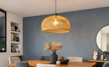 Rénovation de salon à Saint-Avertin (37550)