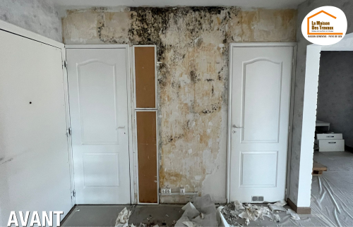rénovation appartement Annemasse, optimisation espace appartement, création chambre supplémentaire, rénovation cuisine ouverte, rénovation salle de bain Annemasse