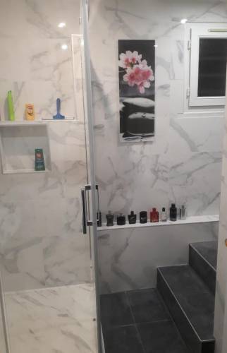 Une salle de bains atypique à Athis-Mons (91200)
