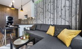 appartement deco originale 