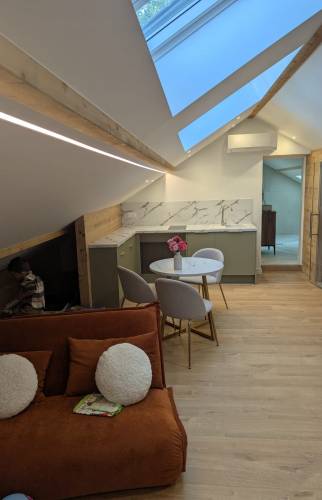 Studio aménagé dans des combles avec kitchenette et pièce de vie
