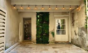 Rénovation cour intérieure mur végétal La Maison Des Travaux Nîmes