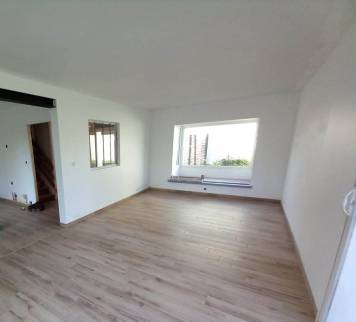 Rénovation de salon avec pose d'une verrière d'atelier - Lagnieu 01