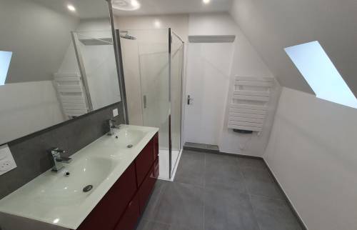 Rénovation Terminée : Salle d’Eau Épurée et Pratique
