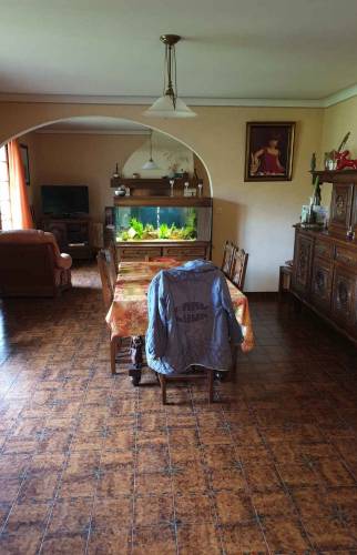 Ancien carrelage dans le salon/SAM