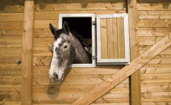 Autre vue box de l'intérieur après travaux.