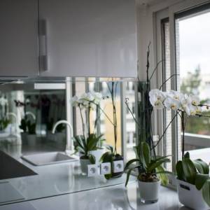 Aménagement de la cuisine