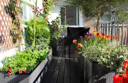 aménager un jardin sur un balcon Grenoble