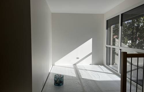 Rénovation murs et plafonds (69160 TASSIN LA DEMI LUNE)