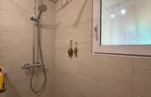 Rénovation maison - salle de bain douche - Saint-Amour 39160