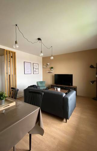 rénovation salon 