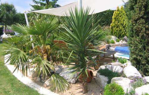 oasis méditerranéenne 