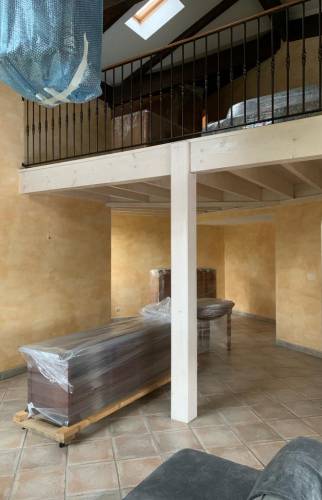 Rénovation de salon à Vienne