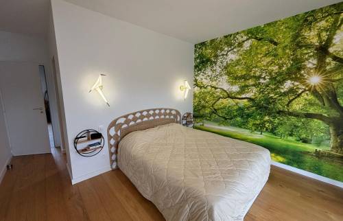 Rénovation chambre maison bureau buanderie