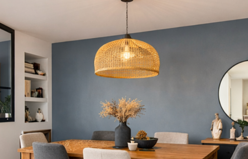 Rénovation de salon à Saint-Avertin (37550)