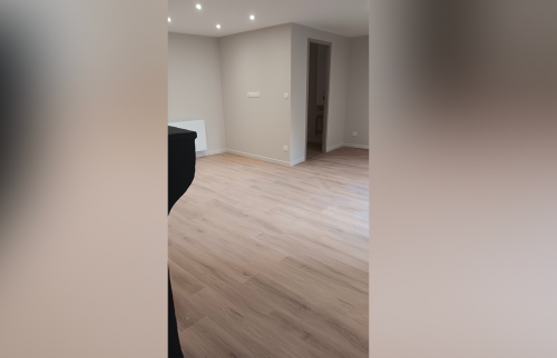 Rénovation d'appartement - Salon