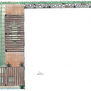 terrasse urbaine aménagée à Paris – projet extérieur signé Gaëlle Simon