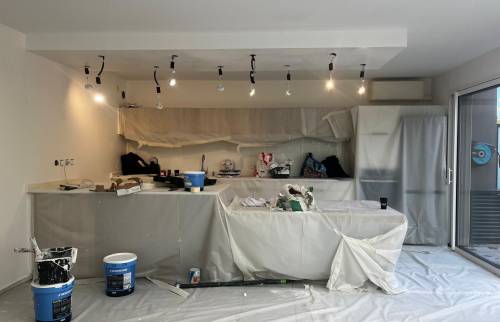 Rénovation murs et plafonds (69160 TASSIN LA DEMI LUNE)