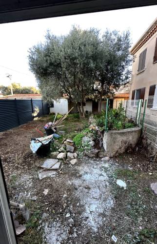 jardin