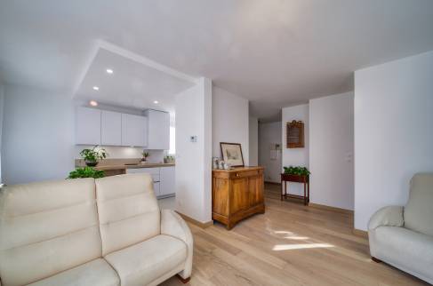 Le salon en premier plan, et la cuisine ouverte derrière