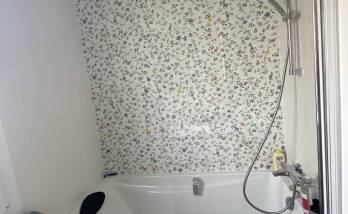 Baignoire et pare bain