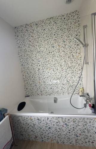 Baignoire et pare bain