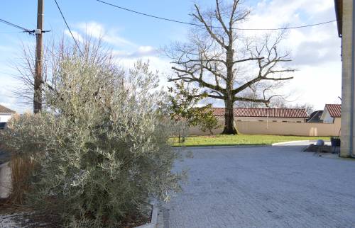 Aménagement allée de jardin