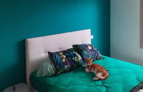 La chambre parentale