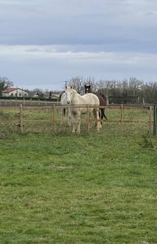 Renung Rénovation salle de bain
