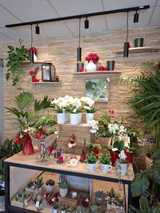 Travaux de déco d'une boutique de fleurs - Ambérieu-en-Bugey 01500