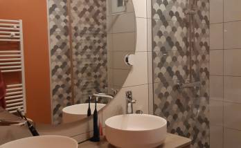 Nouvelle salle de bain rénovée - Meximieux 01