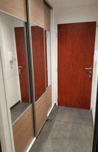 Porte d'entrée et placard à Riedisheim