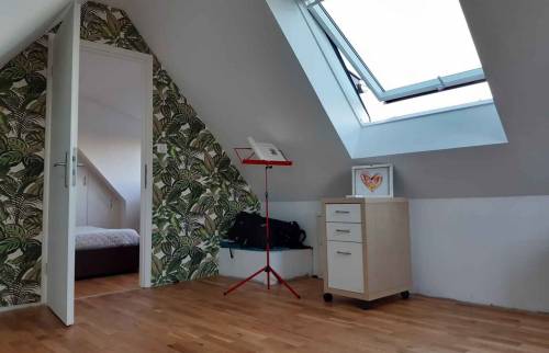 Aménagements de combles à Saint Louis