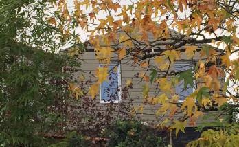 Extension en bardage bois réalisée à St Sébastien sur Loire (44) 