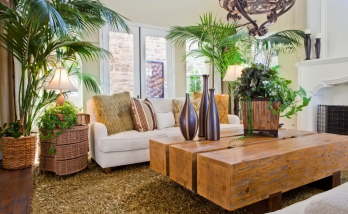 Salon avec plantes Poissy