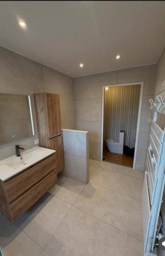 Rénovation d’une salle de bains avec WC à Fraisse (42490)