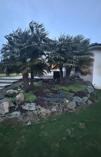 Création de terrasse en béton à Vienne