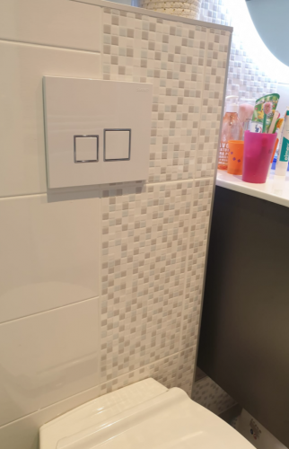 Rénovation toilette