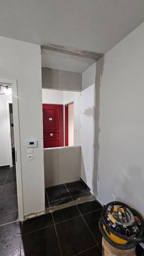 Travaux verrière Tassin-la-Demi-Lune