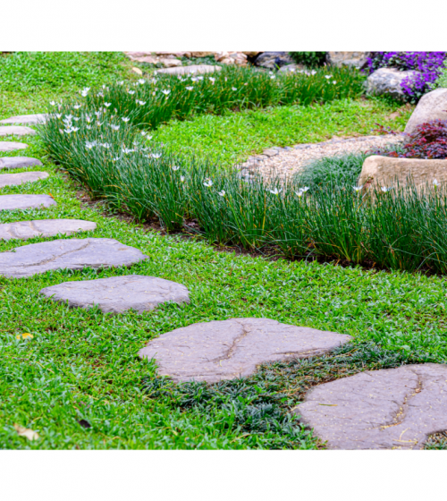 Allée en pas japonais Haguenau