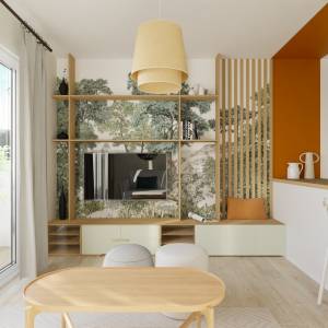 aménagement séjour lumineux petite surface 25m²