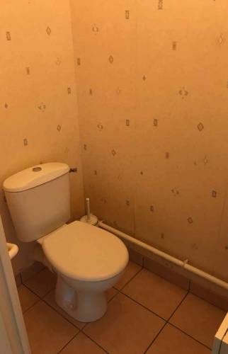 Toilette avant rénovation 