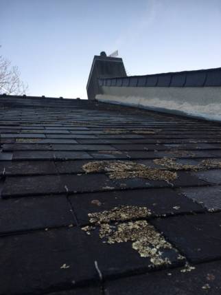 Toiture en ardoises naturelles avant rénovation - Nantes 44